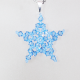 Star - Delphinus-Silver Chain - 2